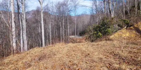 000 Bee Tree Road