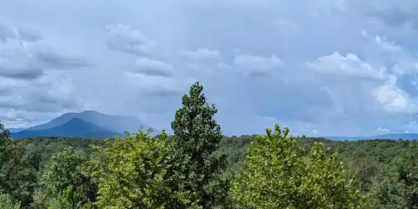 Lot #2 Price Summit Way