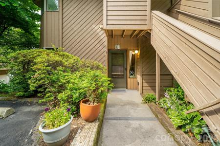 305 Piney Mountain Drive