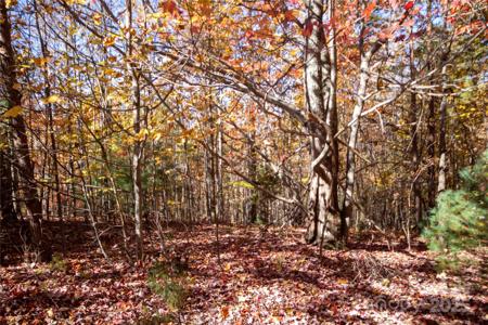 Lot# 4 Peregrine Terrace