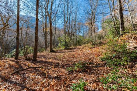 Lot Huckleberry Drive