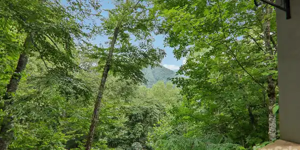Image 4 Image 4