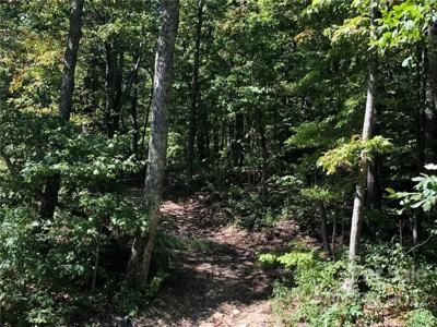 Lot #69 and 69A Marshall Ridge Road