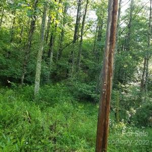TBD Cabin Hill Road