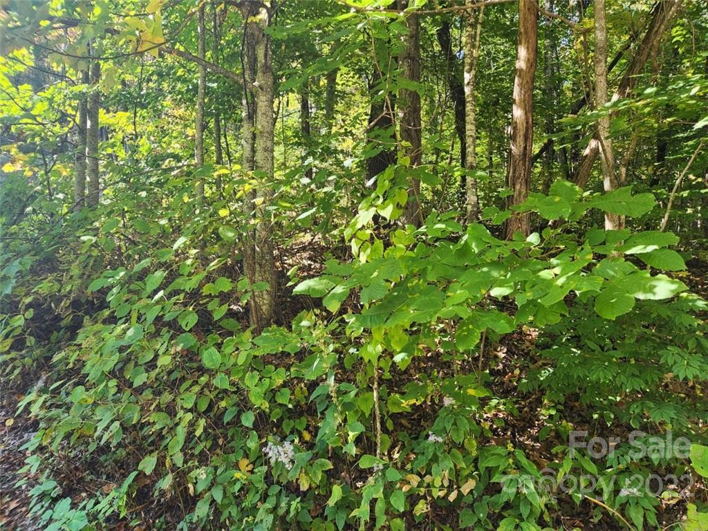 Image 3 Image 3