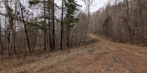 Image 4 Image 4