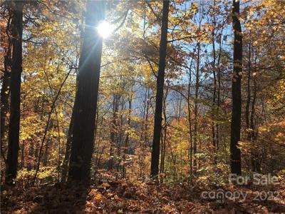 13 Ruffed Grouse Lane