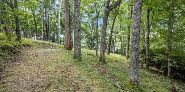 Image 3 Image 3