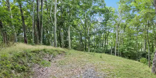 Image 4 Image 4