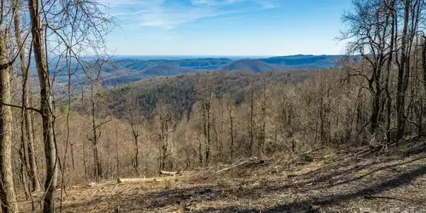 7596 Walkertop Mtn Overlook Drive