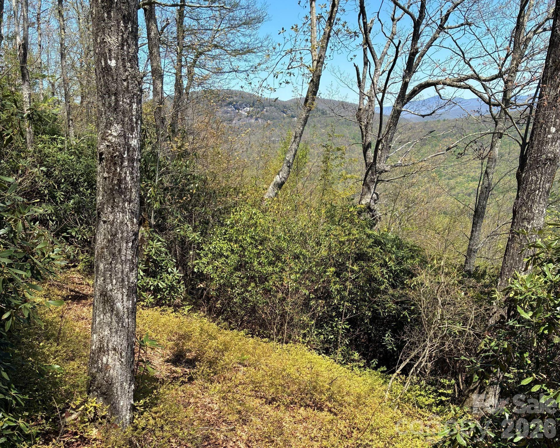 Image 4 Image 4