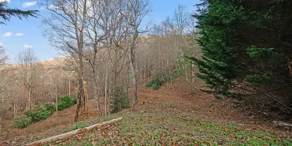 99999 Flora Rose Trail