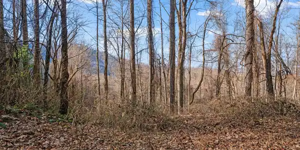 Image 4 Image 4