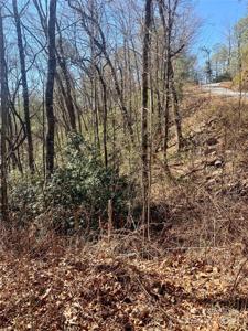 Lots 62&63 Oak Laurel Road