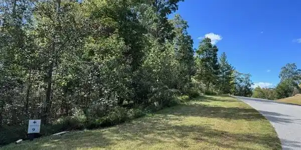 Image 3 Image 3