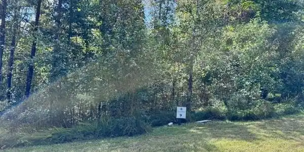 Image 4 Image 4