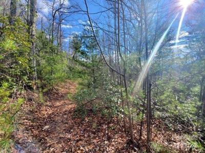 TBD Elkins Road