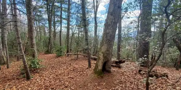 Image 3 Image 3