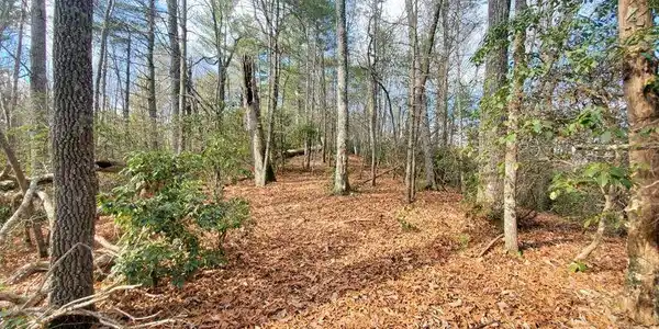Image 4 Image 4