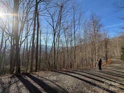 Lot 23 Thumper Trail