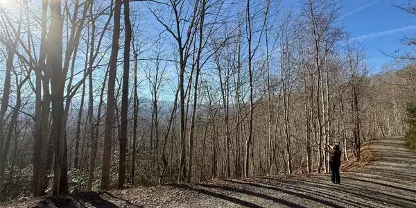 Lot 23 Thumper Trail