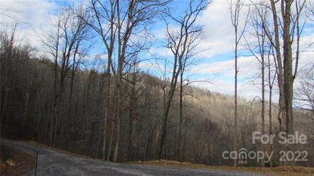 00 Falling Water Drive