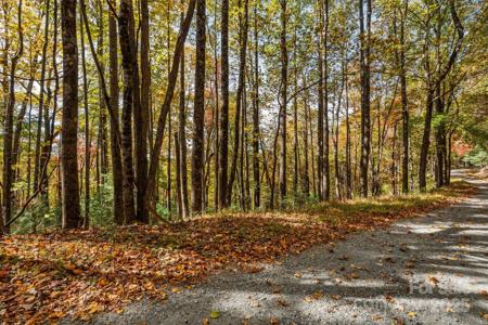 Lot 24 Ben Miller Road