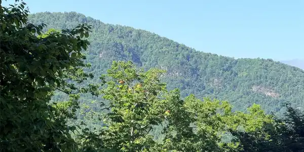 Image 2 Image 2