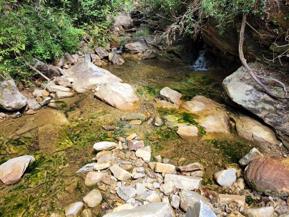 Image 4 Image 4