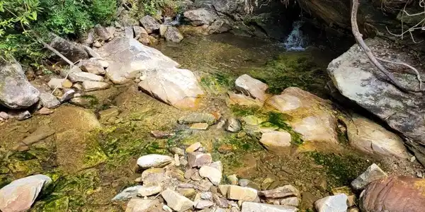 Image 4 Image 4