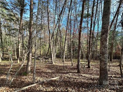 TBD Burley Ridge