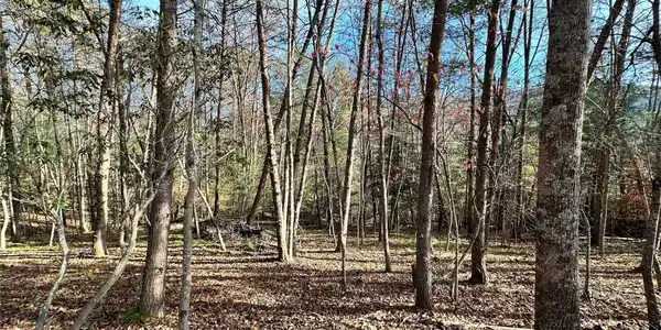 TBD Burley Ridge