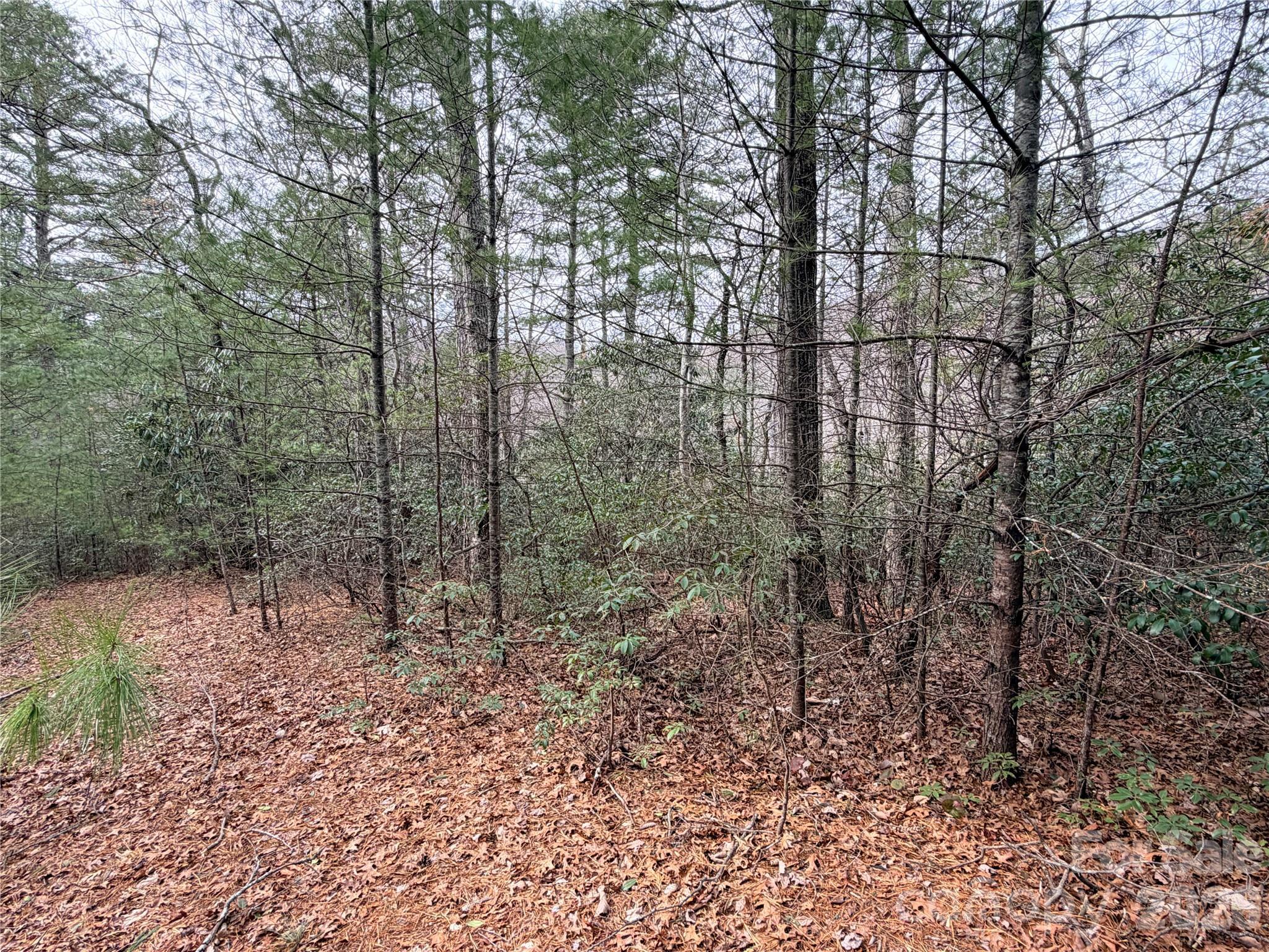 Image 3 Image 3
