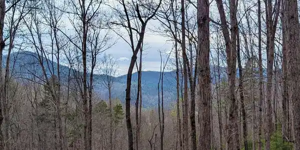 Image 3 Image 3