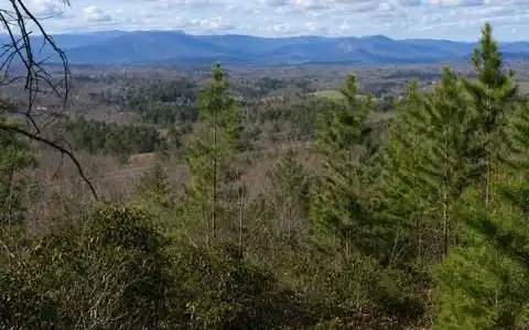 Image 3 Image 3