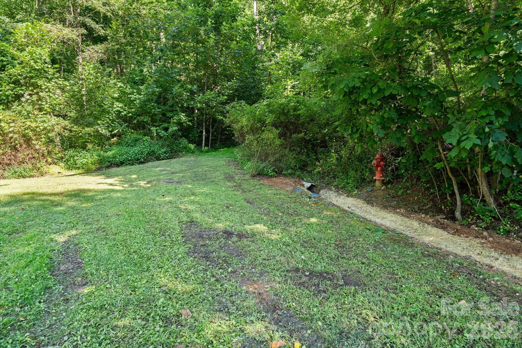 Image 3 Image 3