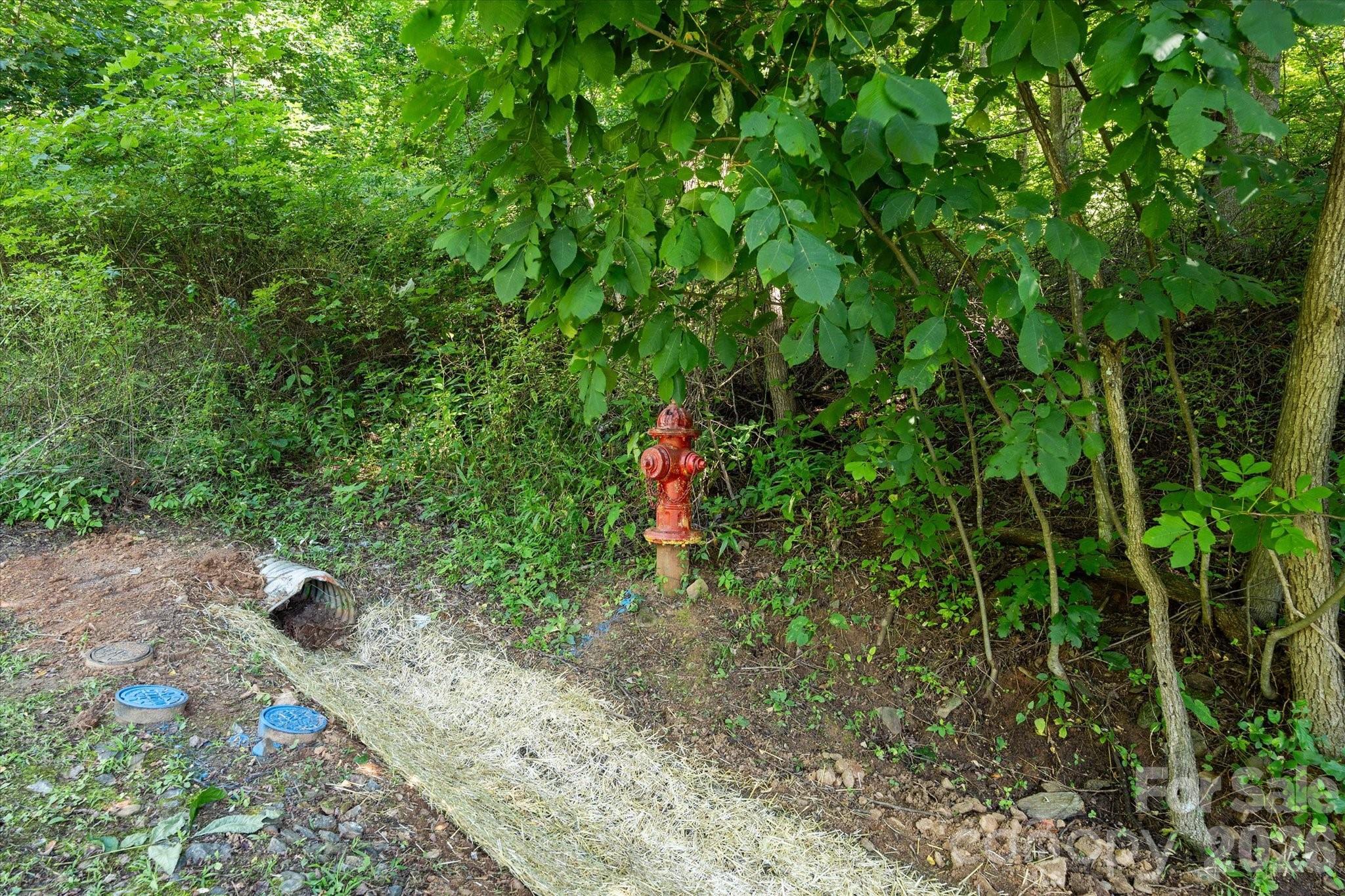 Image 4 Image 4