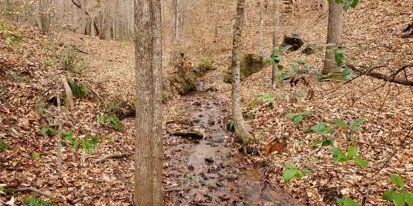 Image 3 Image 3