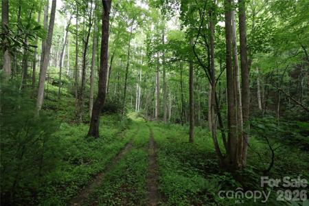 TBD Blowing Rock Road