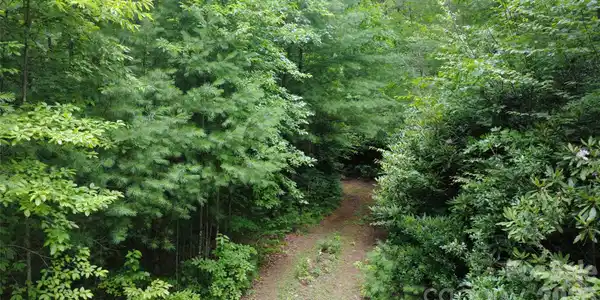 Image 3 Image 3