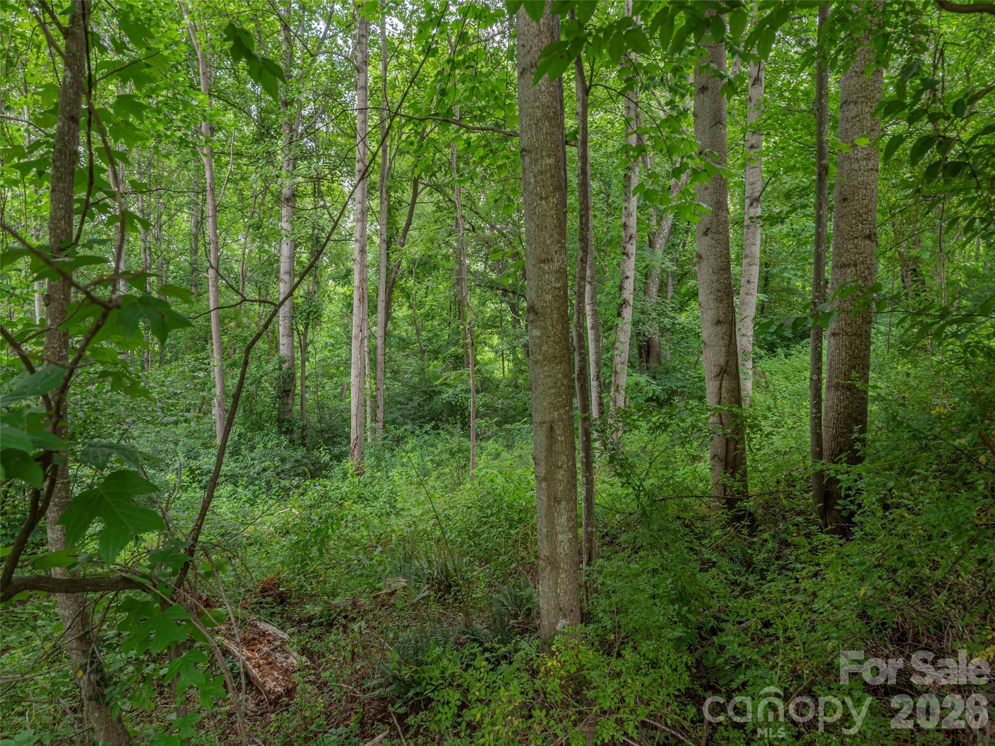 Image 4 Image 4