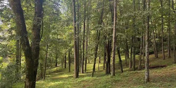 89 Split Rock Trail