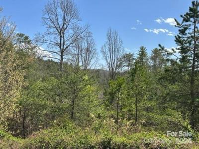 78 Homestead Ridge Road