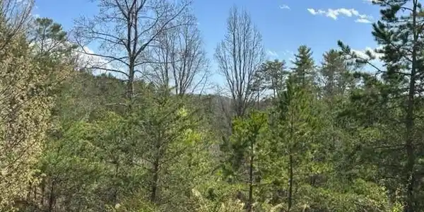 78 Homestead Ridge Road