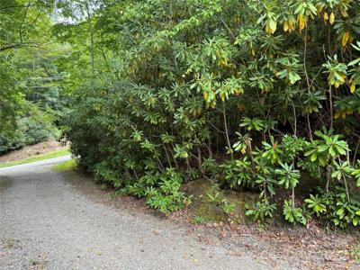 000 Sheepback Mountain Road