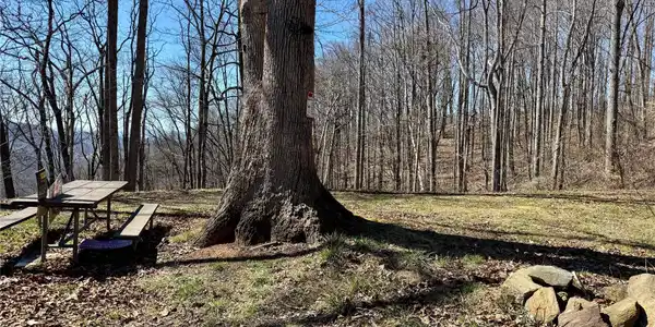 99999 North Fork Road
