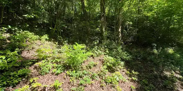 Image 4 Image 4