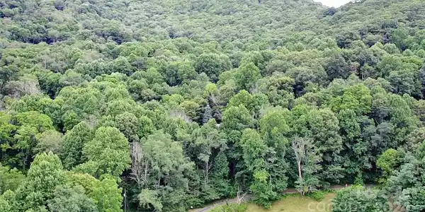 Image 4 Image 4