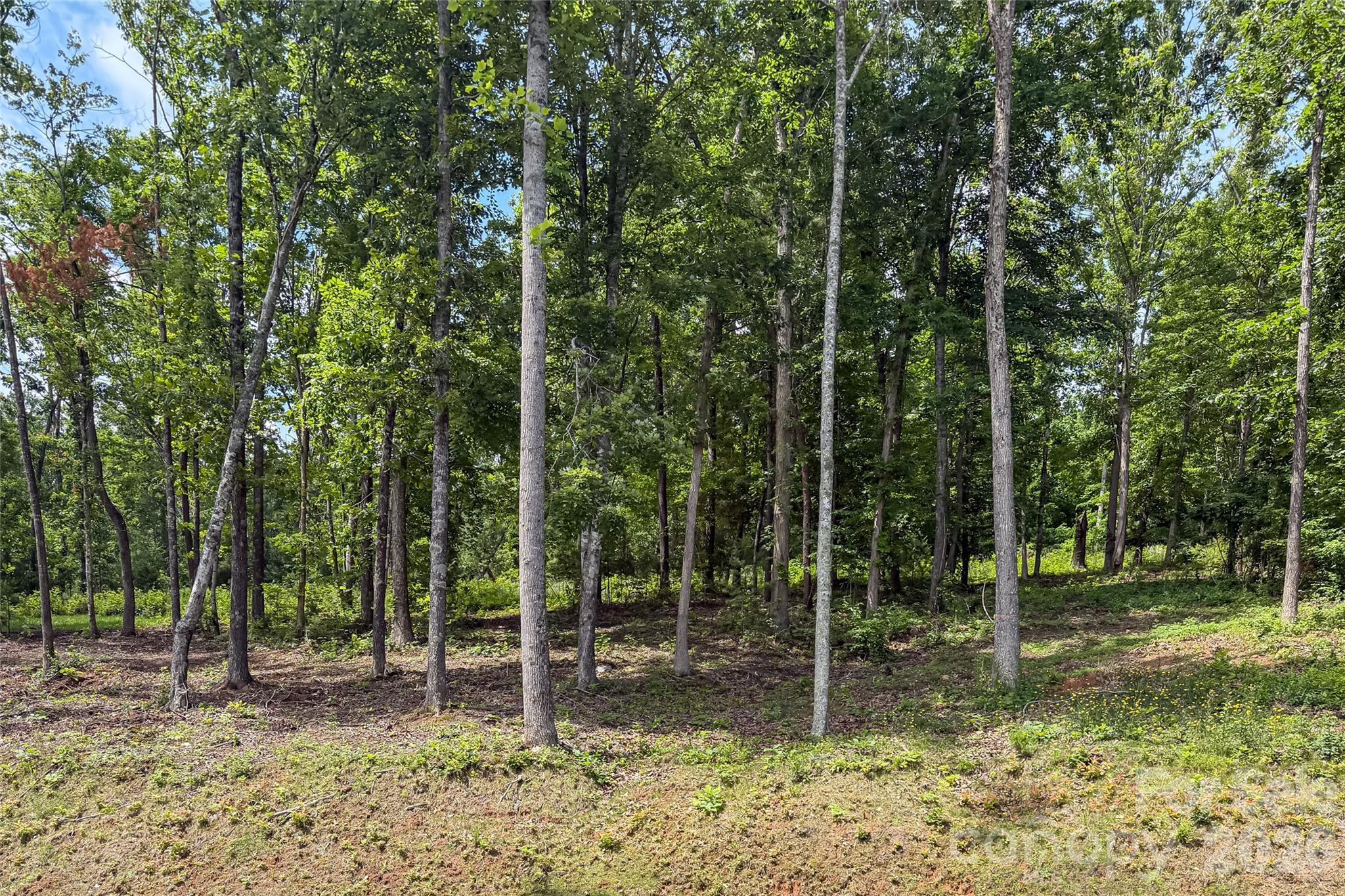 Image 3 Image 3