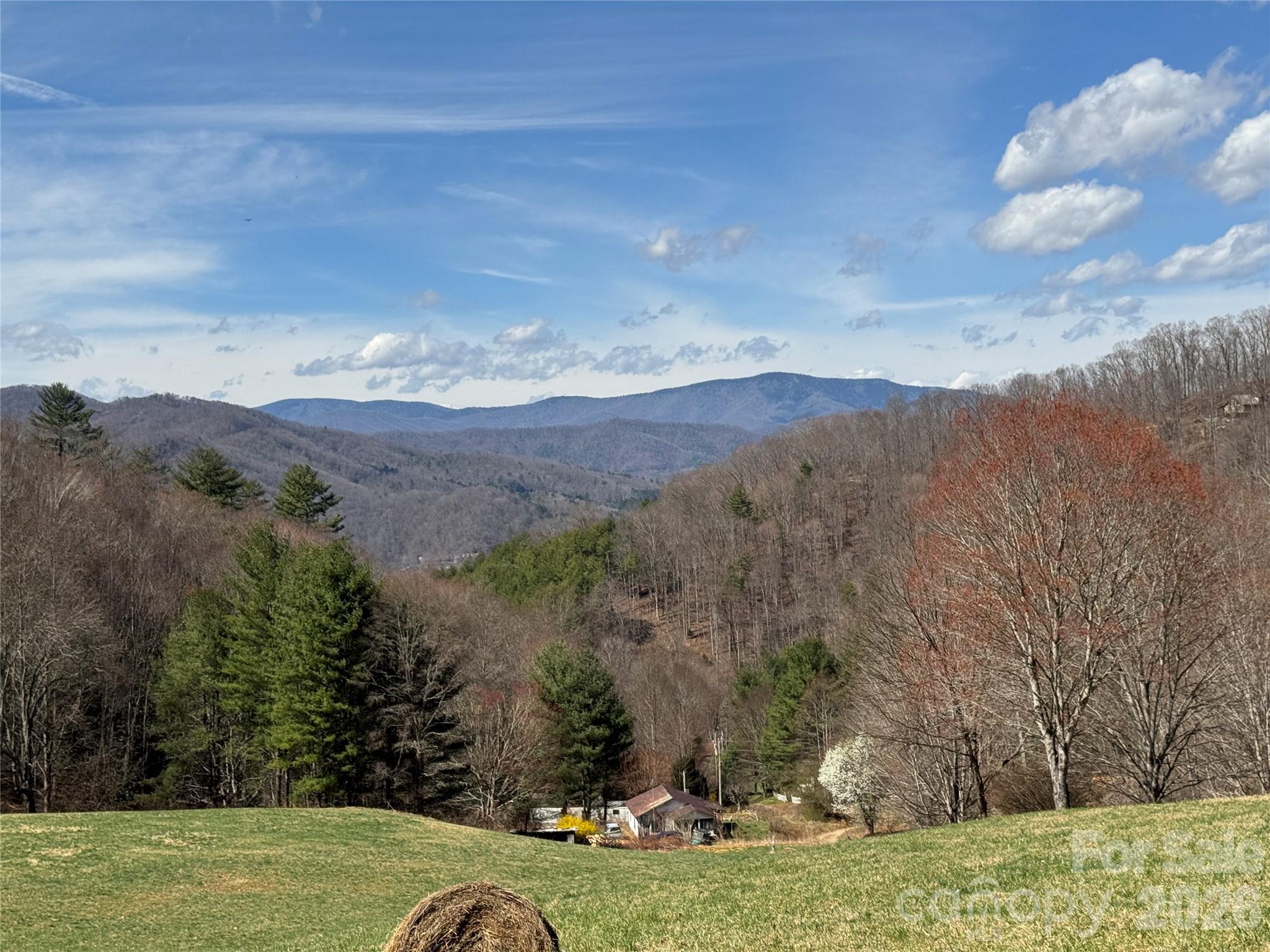 Image 1 Image 1